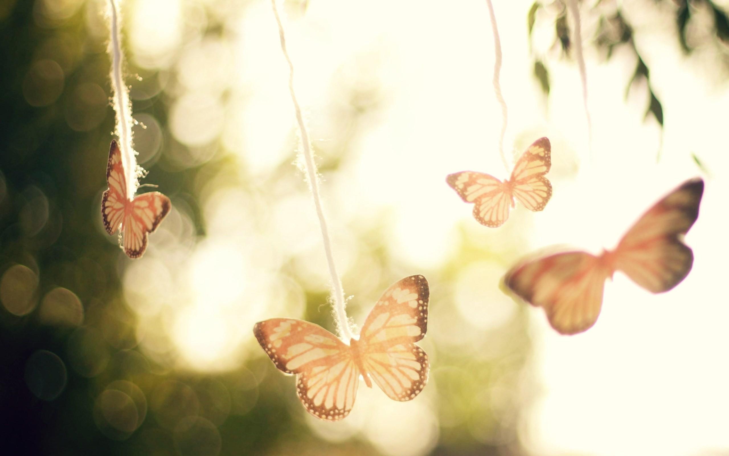 Vintage Butterfly Wallpapers Top Free Vintage Butterfly Backgrounds