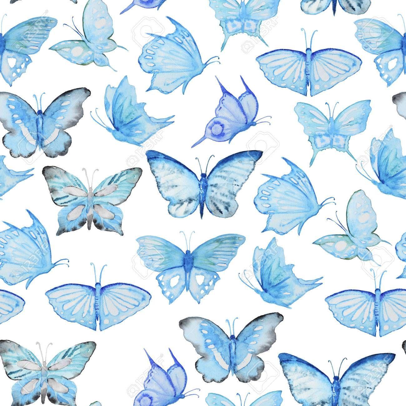 Vintage Butterfly Wallpapers Top Free Vintage Butterfly Backgrounds