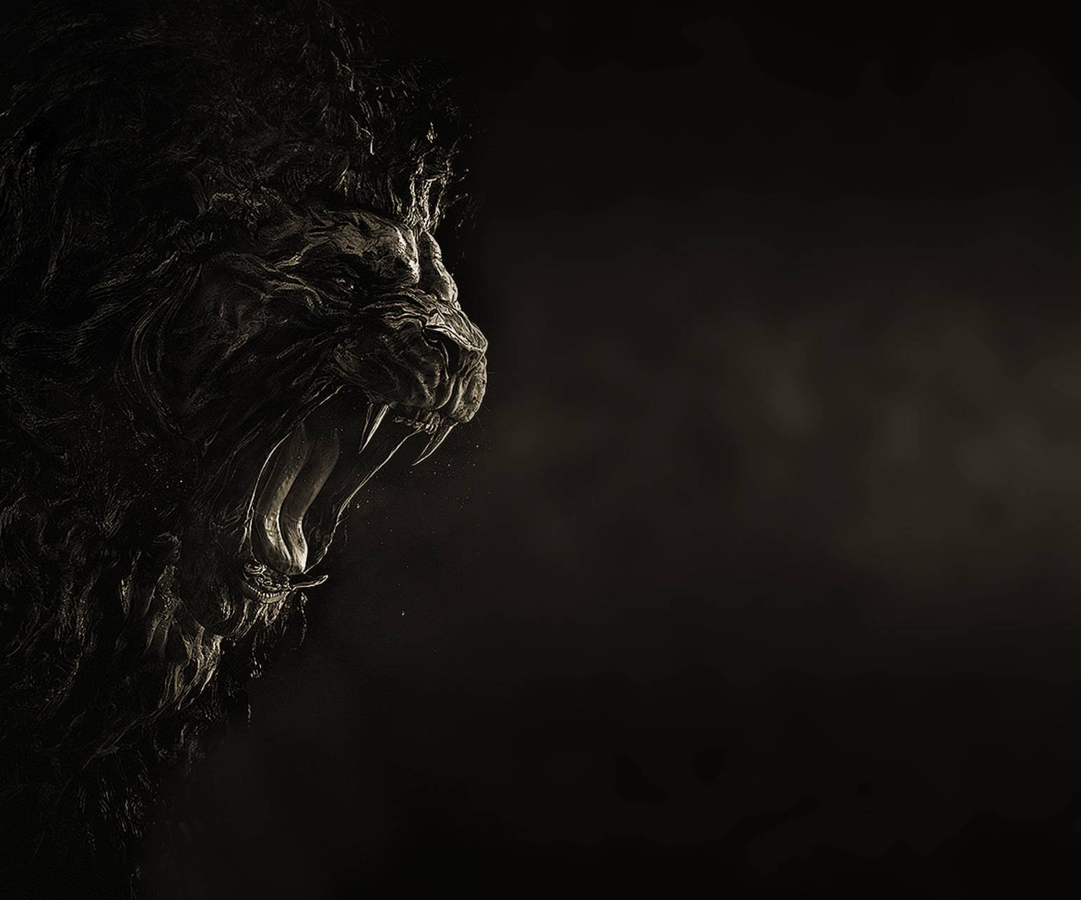 Black Lion HD Wallpapers Top Free Black Lion HD Backgrounds