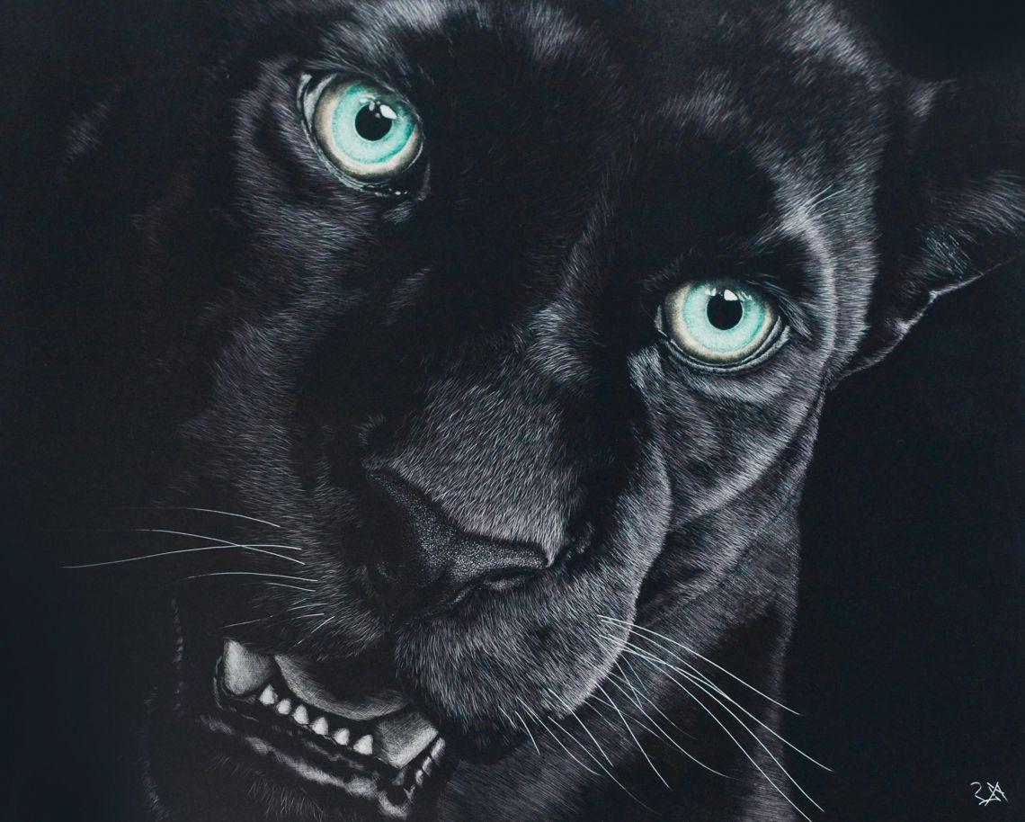 Black Jaguar Animal Wallpapers Top Free Black Jaguar Animal