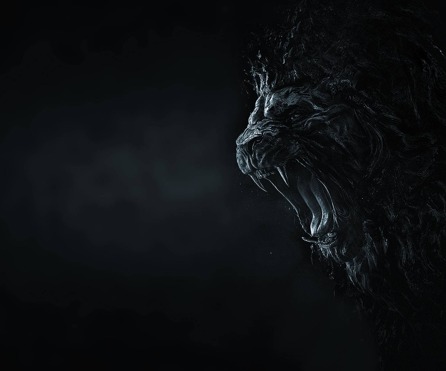 Black Lion HD Wallpapers Top Free Black Lion HD Backgrounds