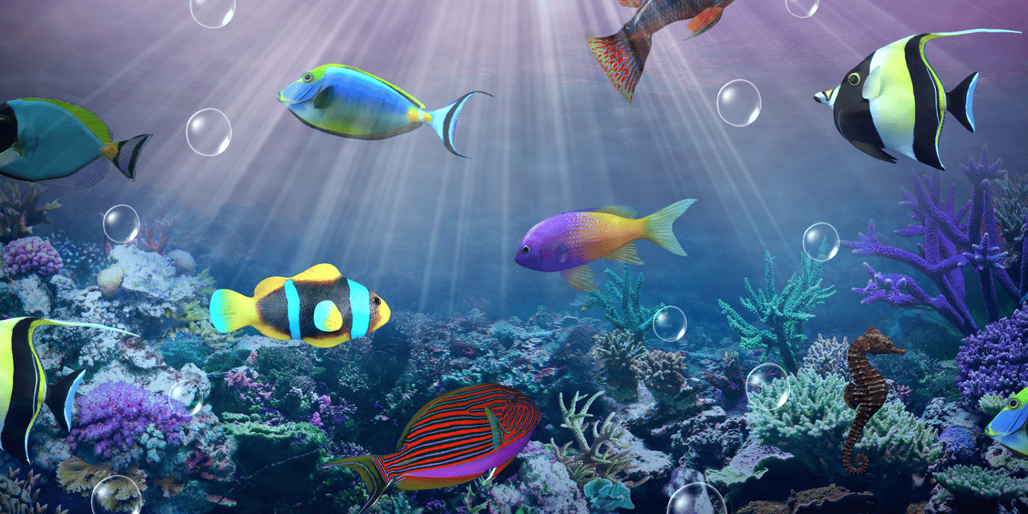 Live Aquarium Wallpapers Top Free Live Aquarium Backgrounds