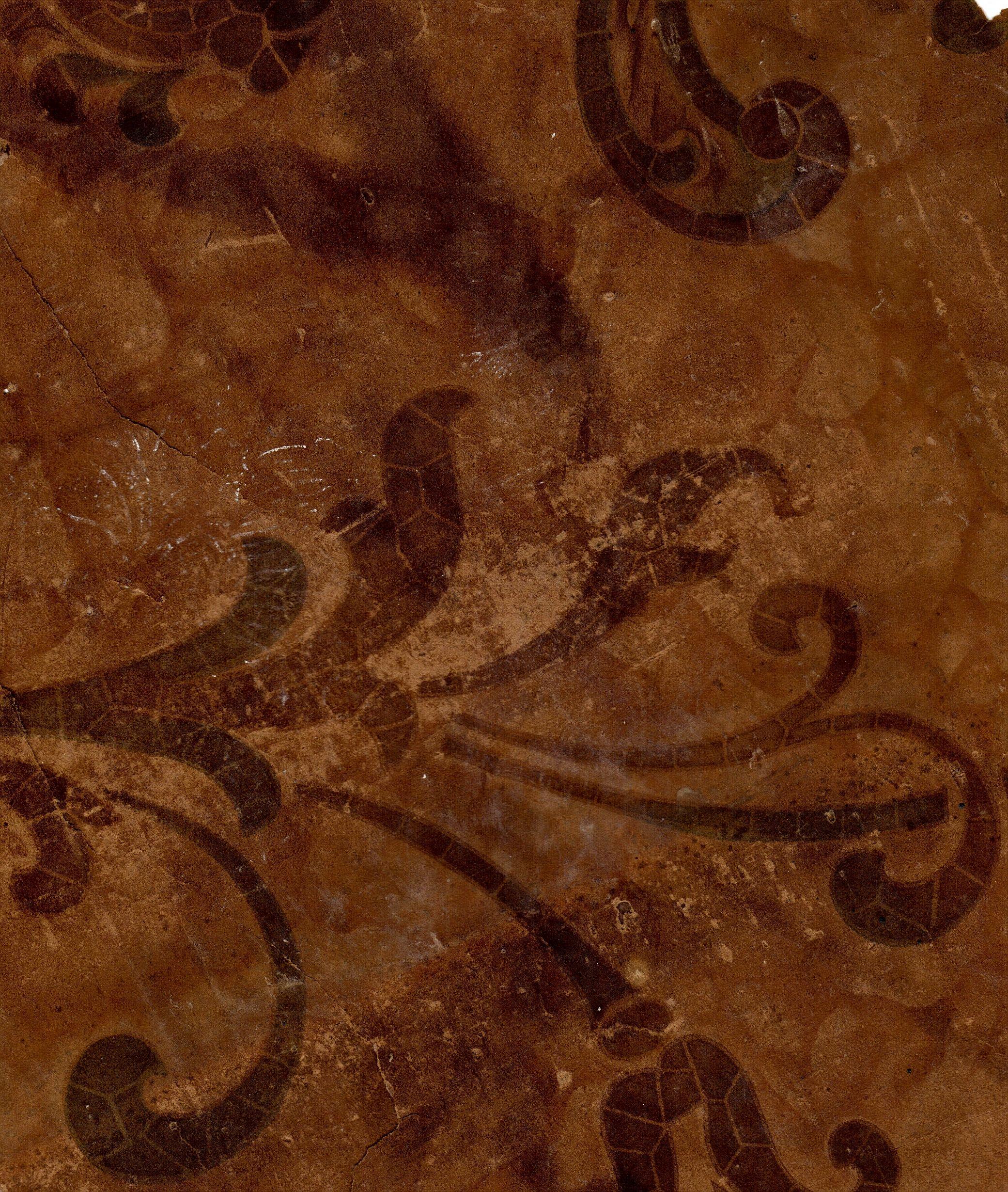 Old Book Cover Wallpapers Top Free Old Book Cover Backgrounds