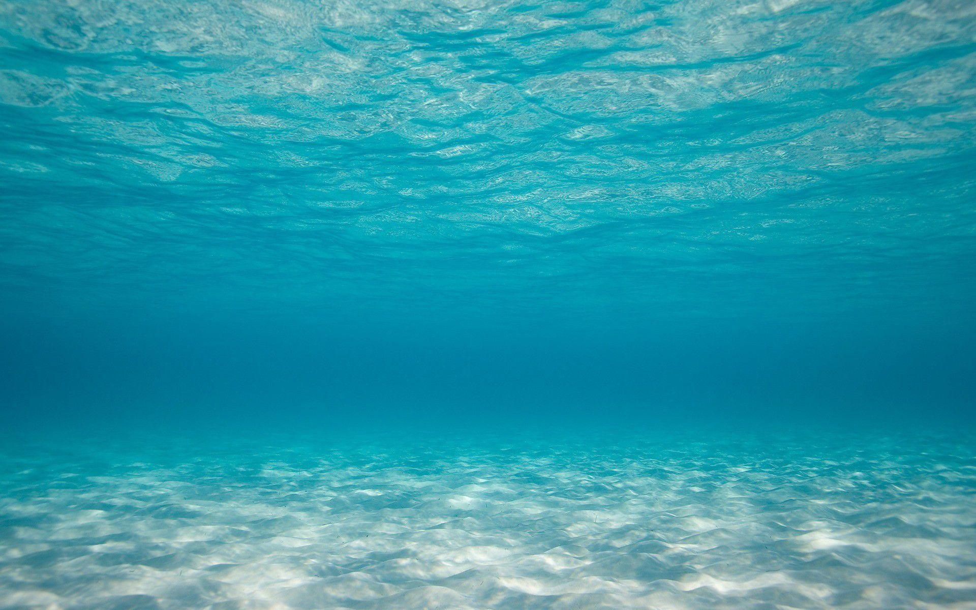 Ocean Floor Wallpaper 4K Iwanna Fly