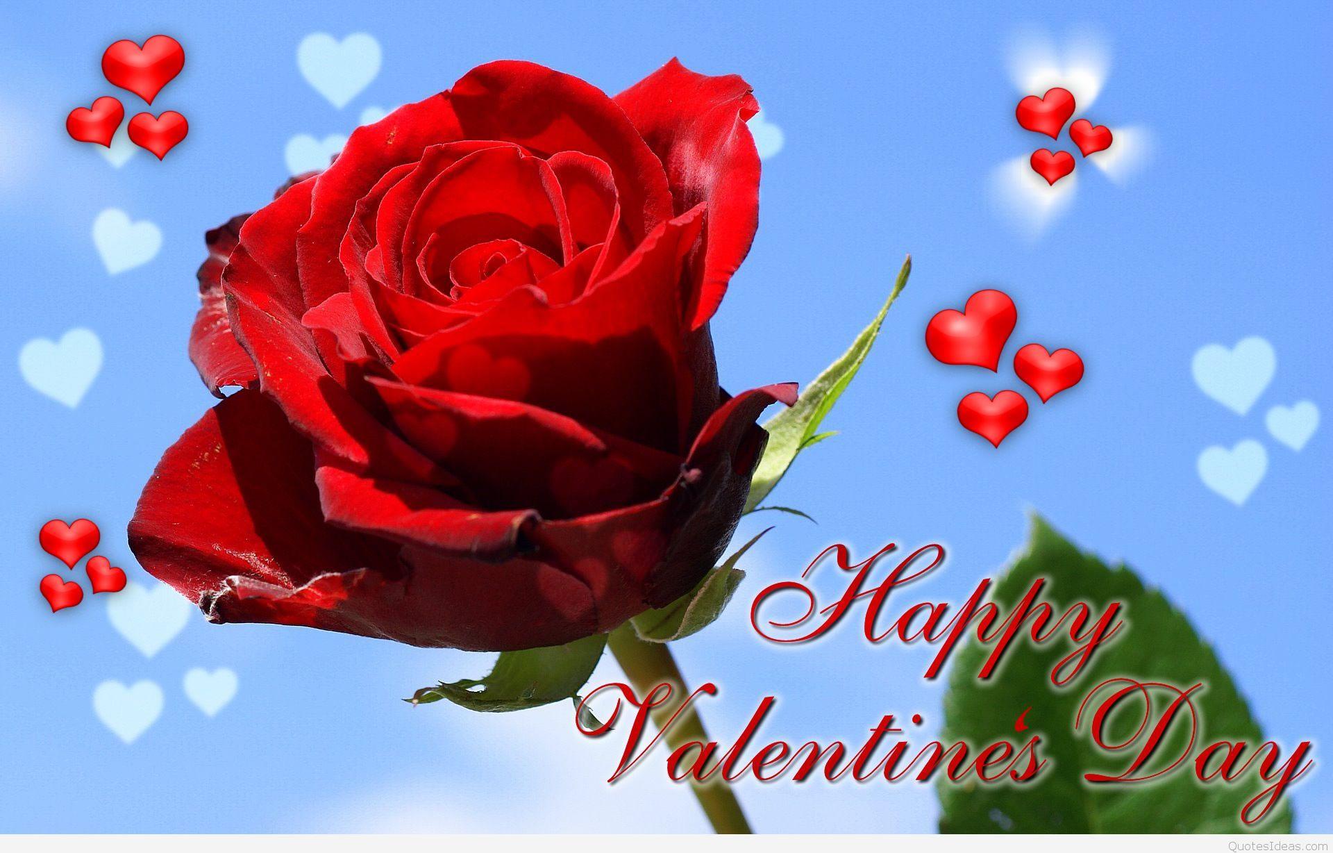 Valentine Day Flower Wallpapers Top Free Valentine Day Flower