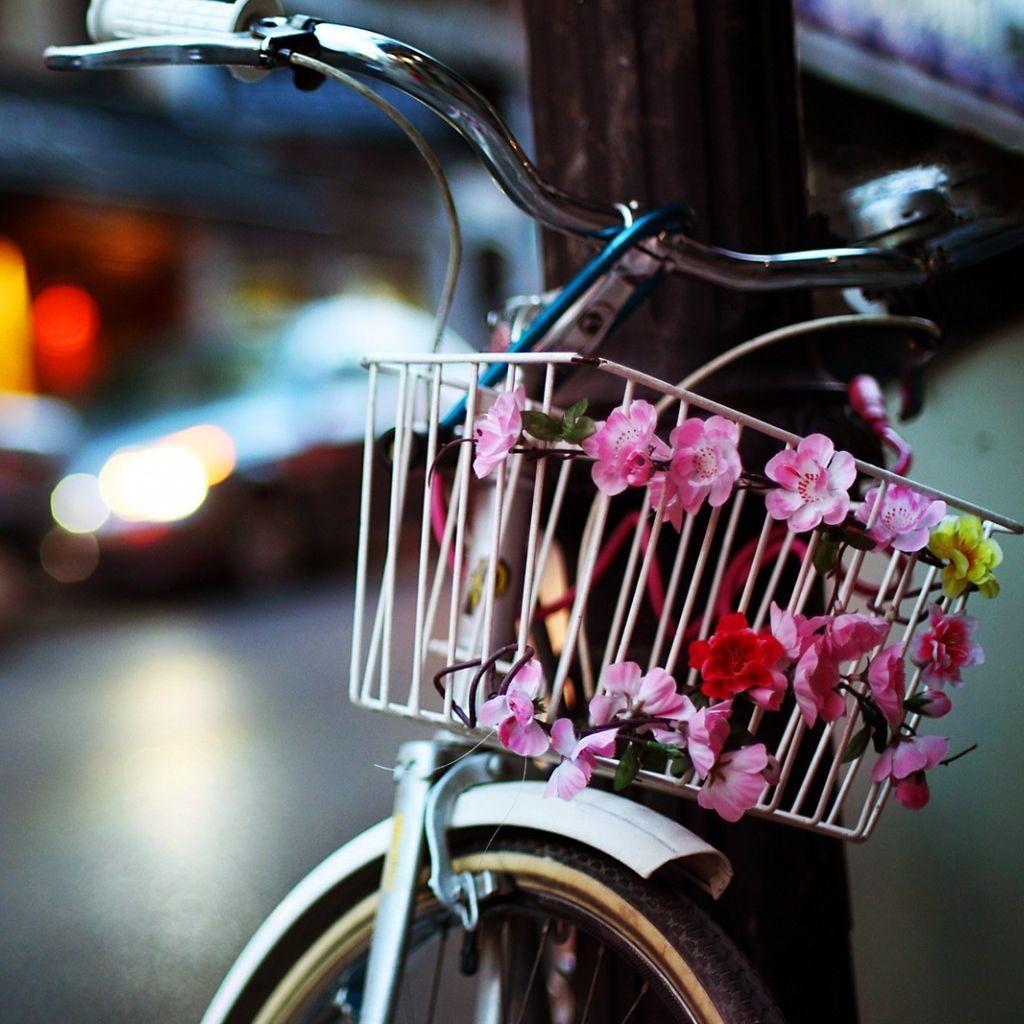Bicycle Flowers Wallpapers Top Free Bicycle Flowers Backgrounds