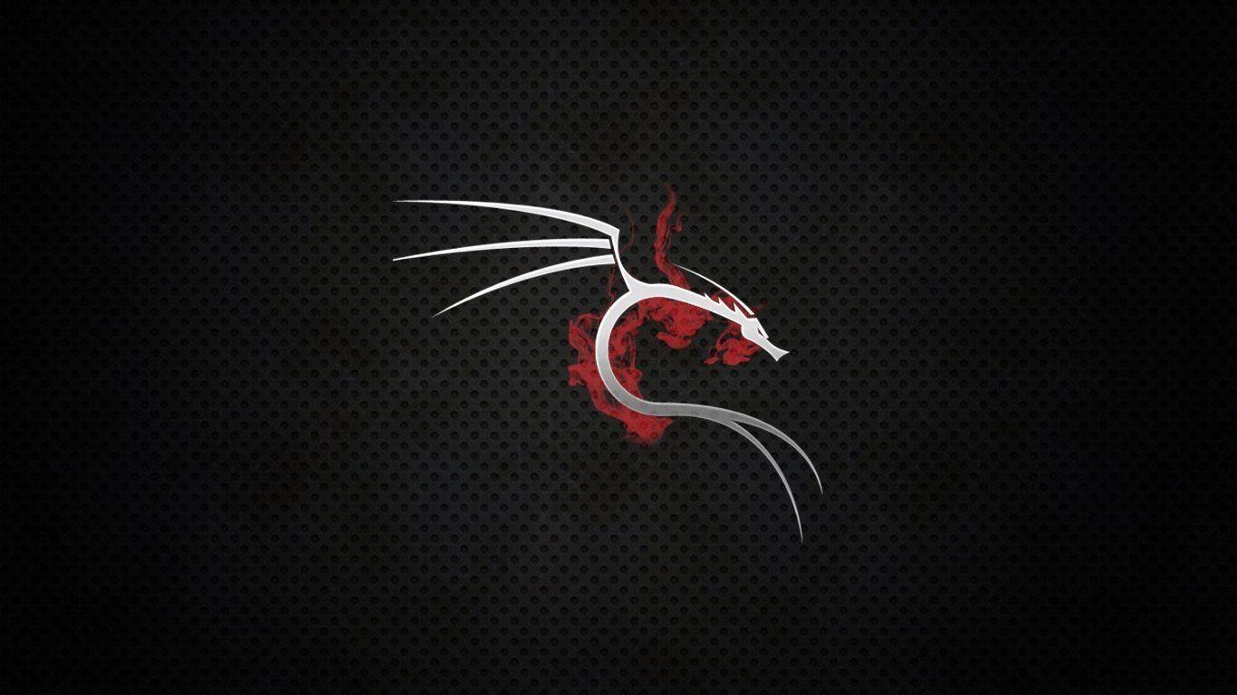Kali Wallpapers Top Free Kali Backgrounds WallpaperAccess