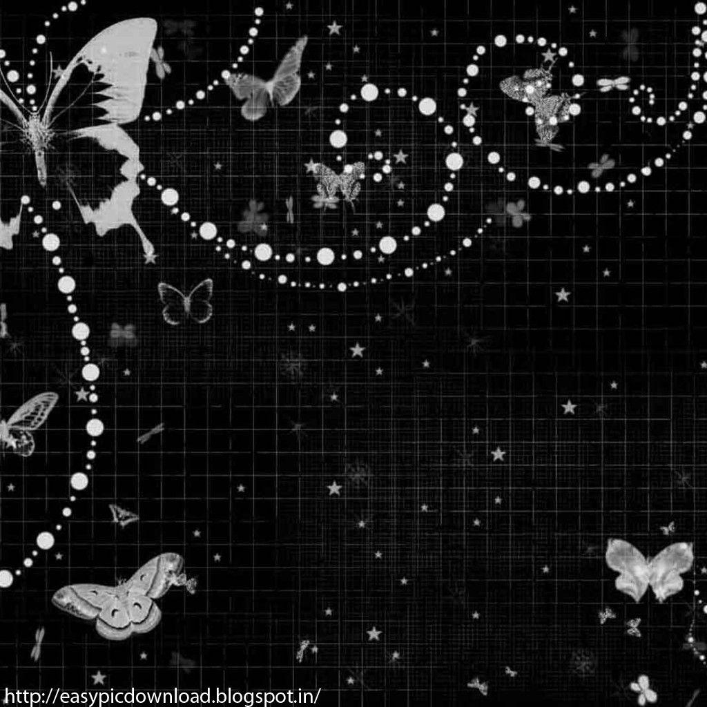Black and White Butterfly Wallpapers Top Free Black and White