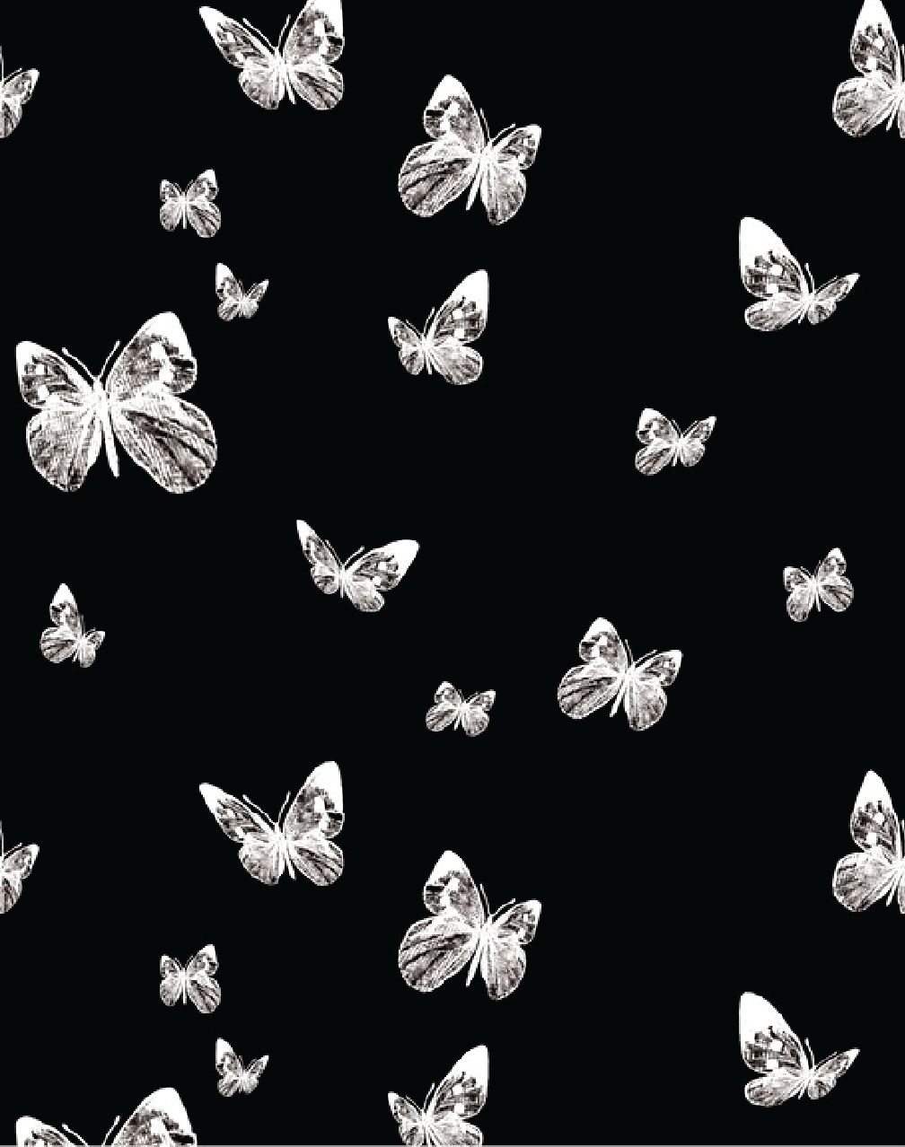Black and White Butterfly Wallpapers Top Free Black and White Butterfly Backgrounds