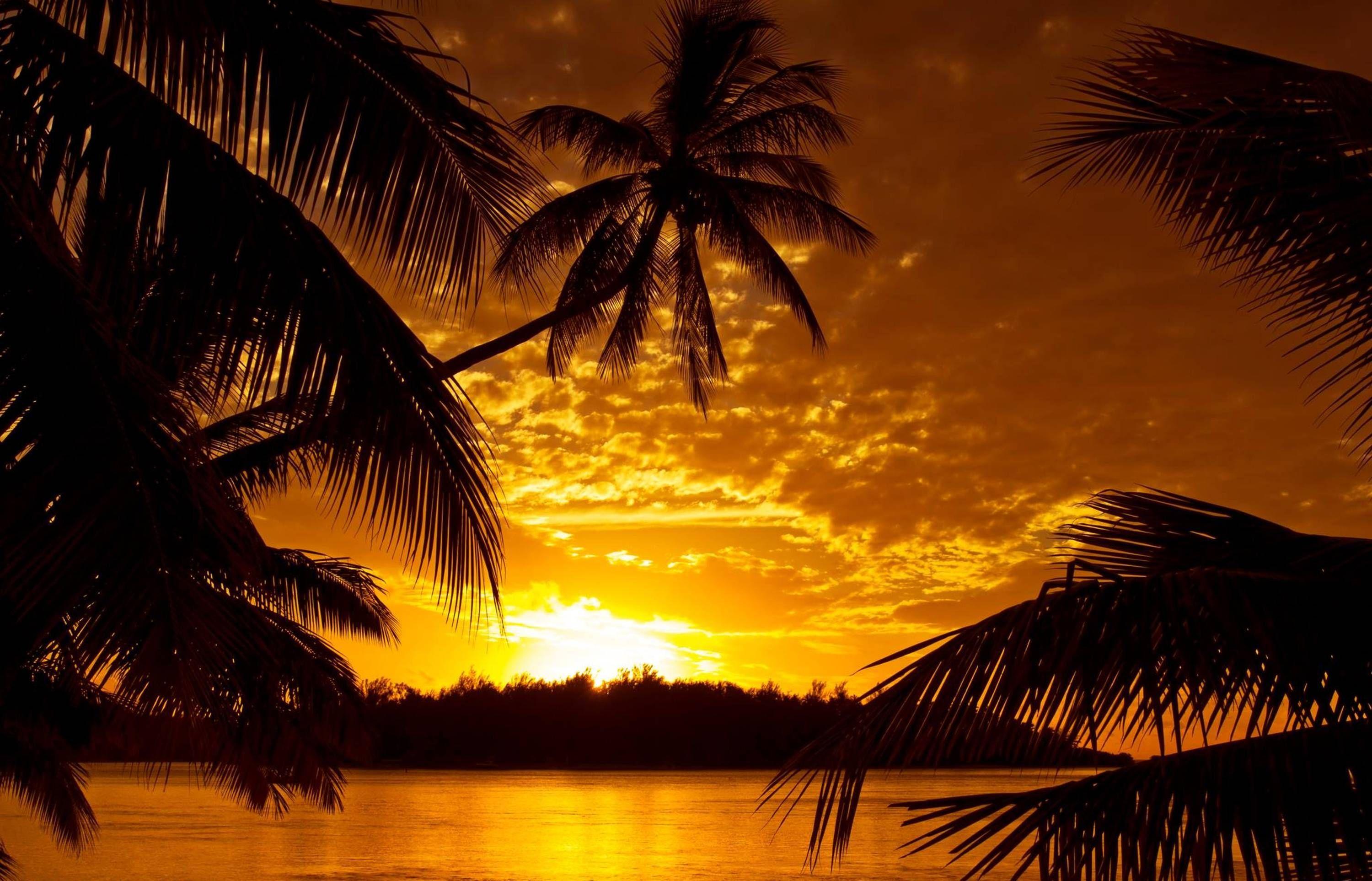 Pacific Island Wallpapers Top Free Pacific Island Backgrounds