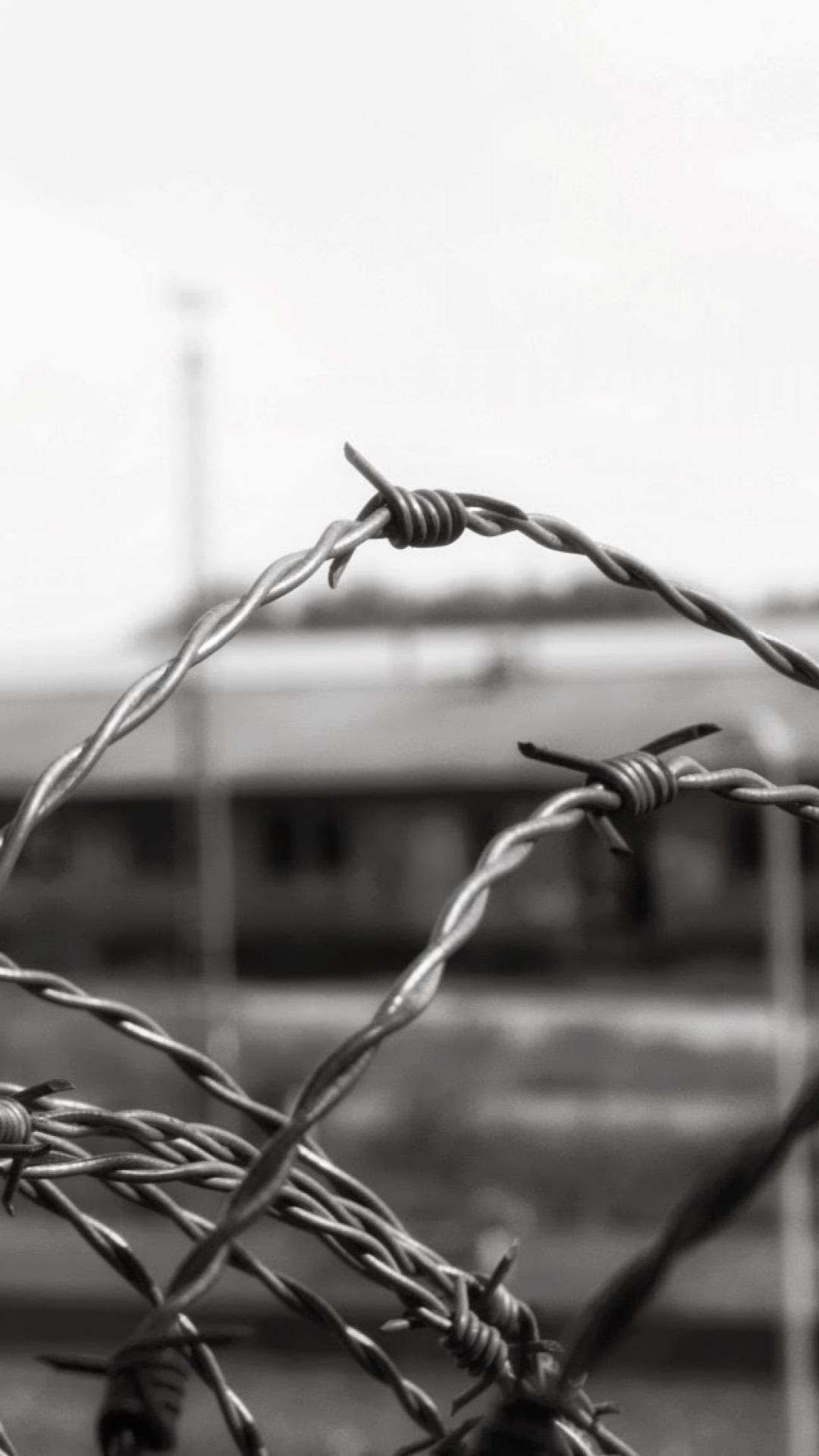 Barbed Wire Wallpapers Top Free Barbed Wire Backgrounds WallpaperAccess