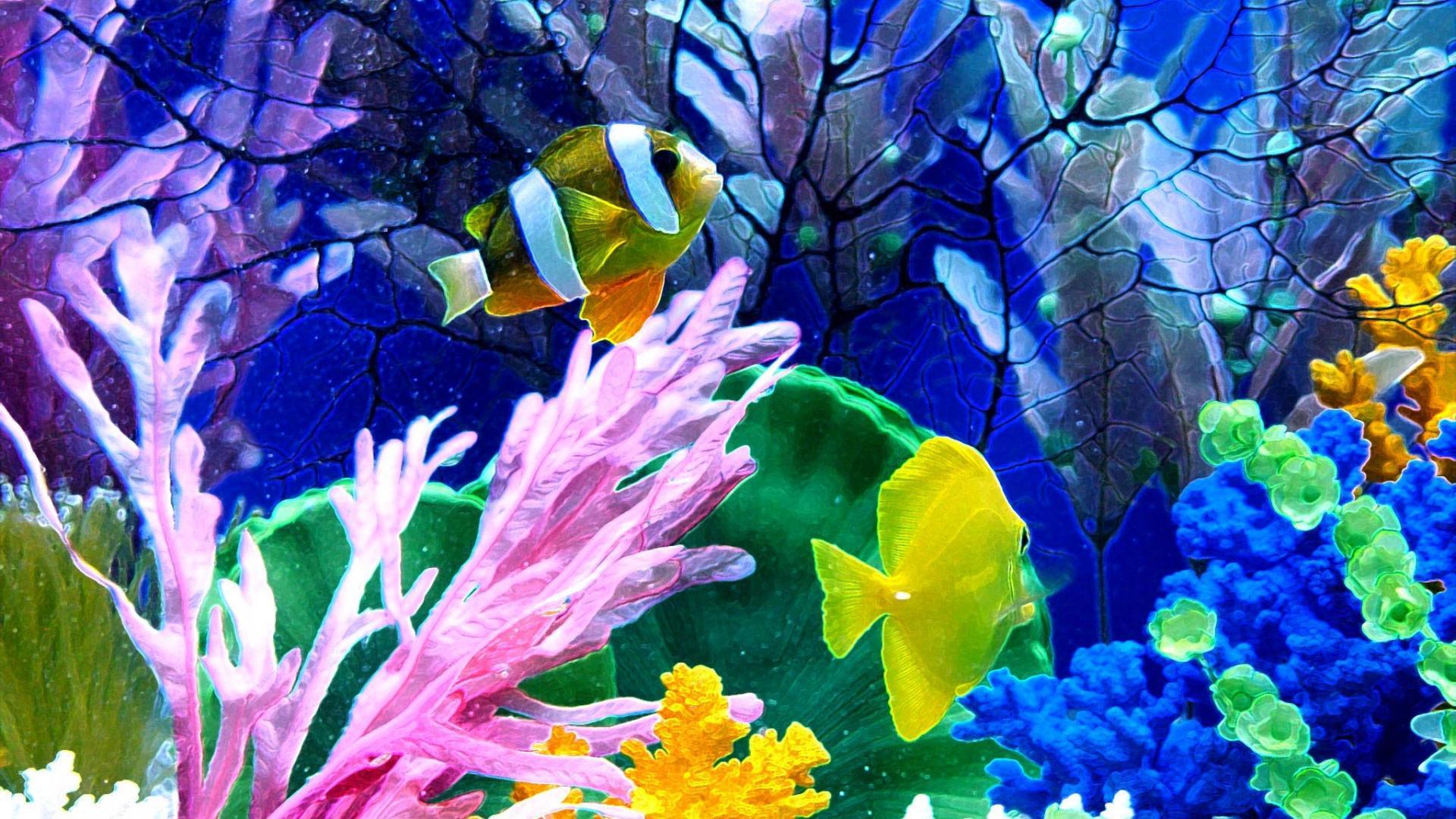 Aquarium Desktop Wallpapers Top Free Aquarium Desktop Backgrounds