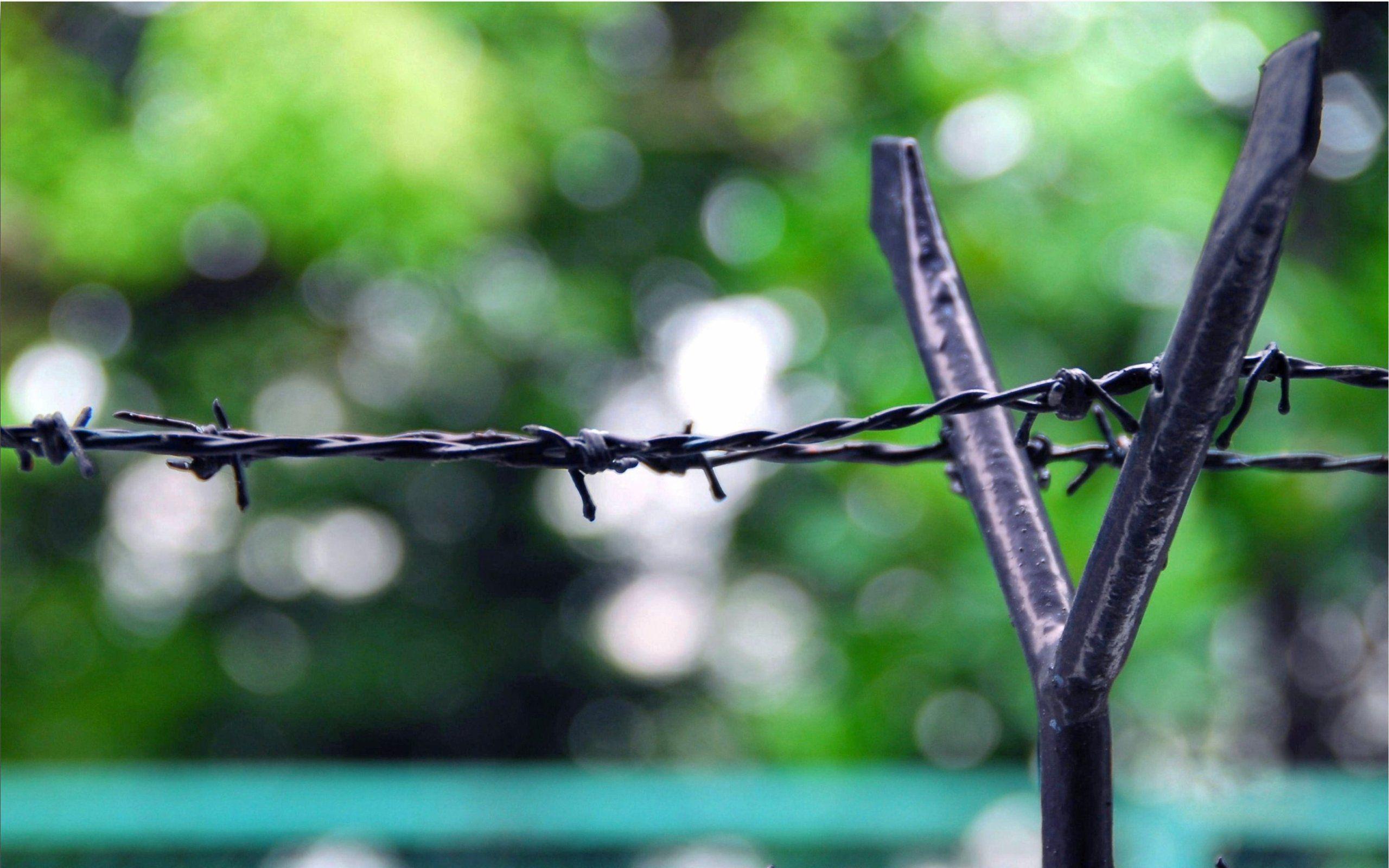 Barbed Wire Wallpapers Top Free Barbed Wire Backgrounds WallpaperAccess