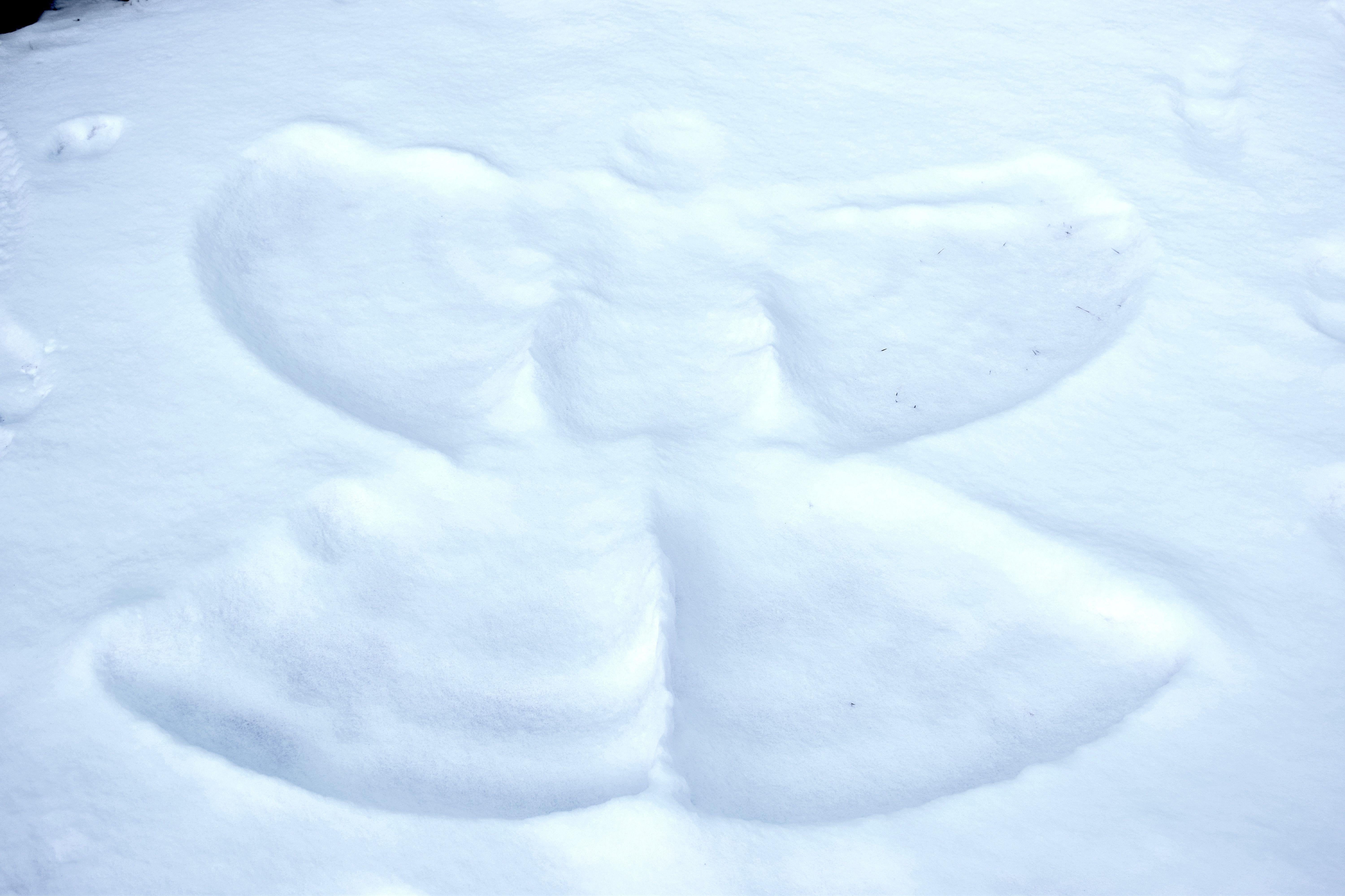 Snow Angel Wallpapers Top Free Snow Angel Backgrounds WallpaperAccess