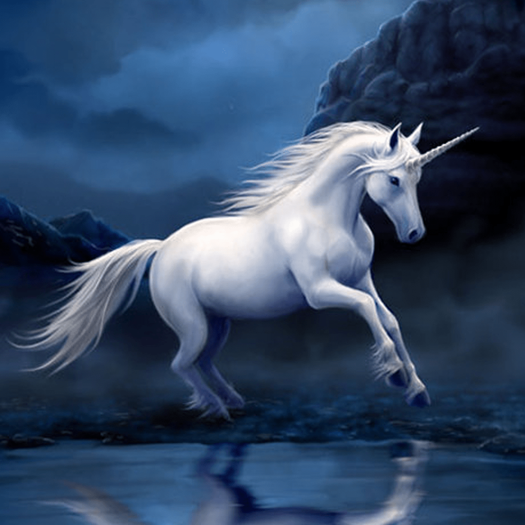 Abstract Unicorn Wallpapers Top Free Abstract Unicorn Backgrounds