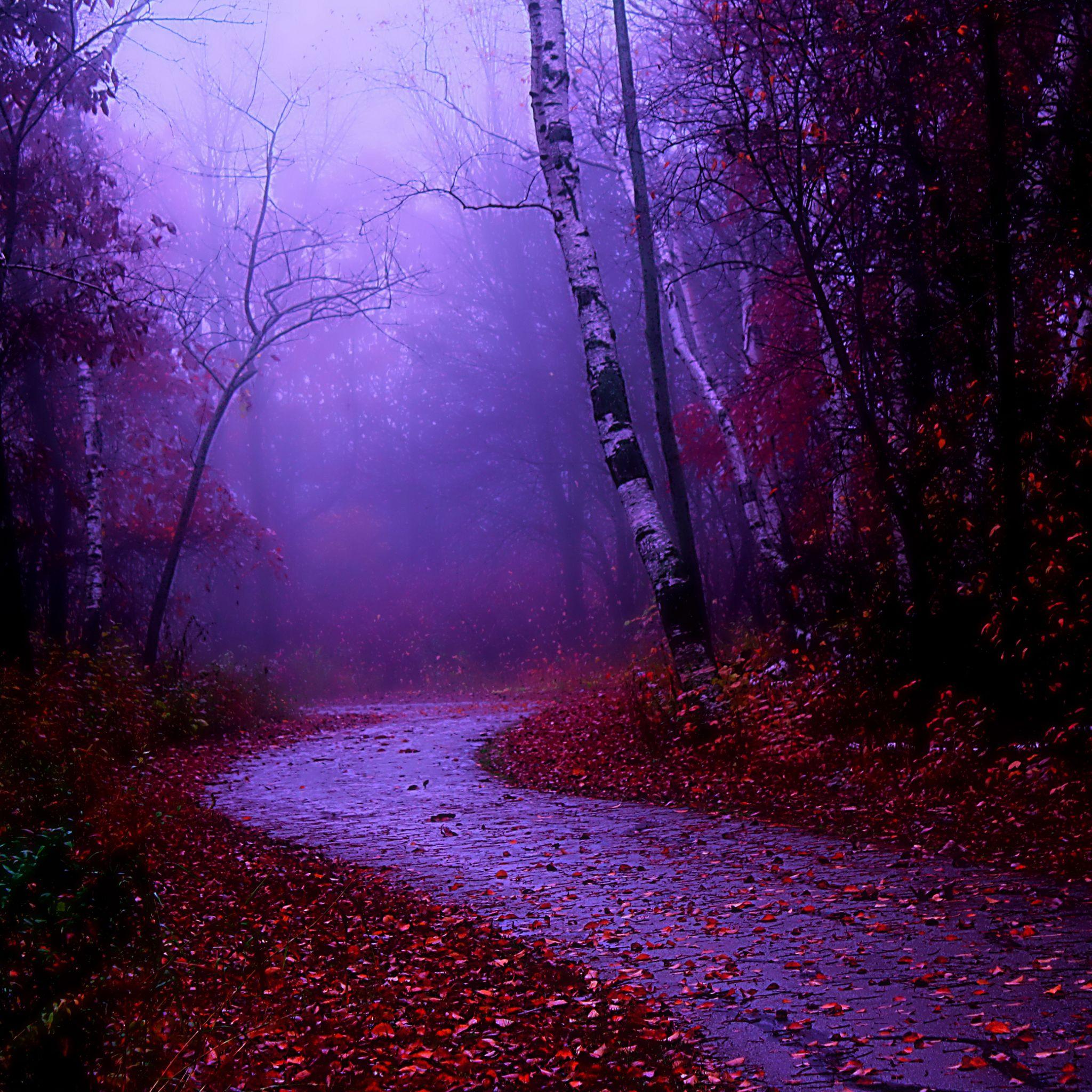 Cute Purple iPad Wallpapers Top Free Cute Purple iPad Backgrounds