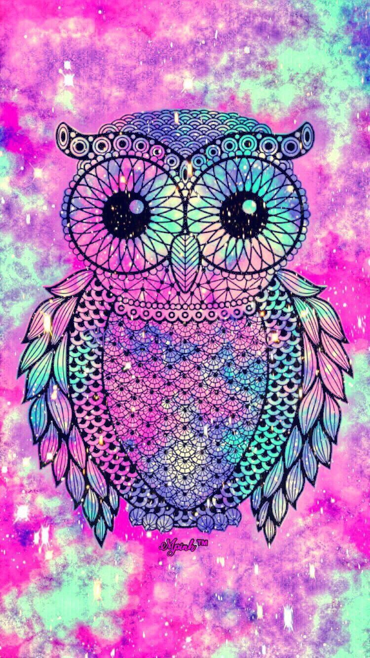 Pink Owl Wallpapers Top Free Pink Owl Backgrounds WallpaperAccess