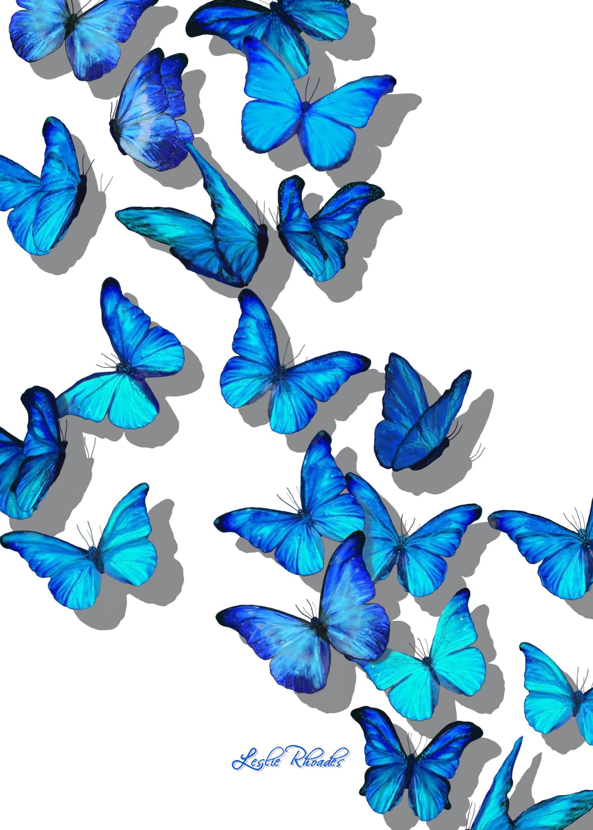 Blue Butterfly Aesthetic Wallpapers Top Free Blue Butterfly Aesthetic Backgrounds