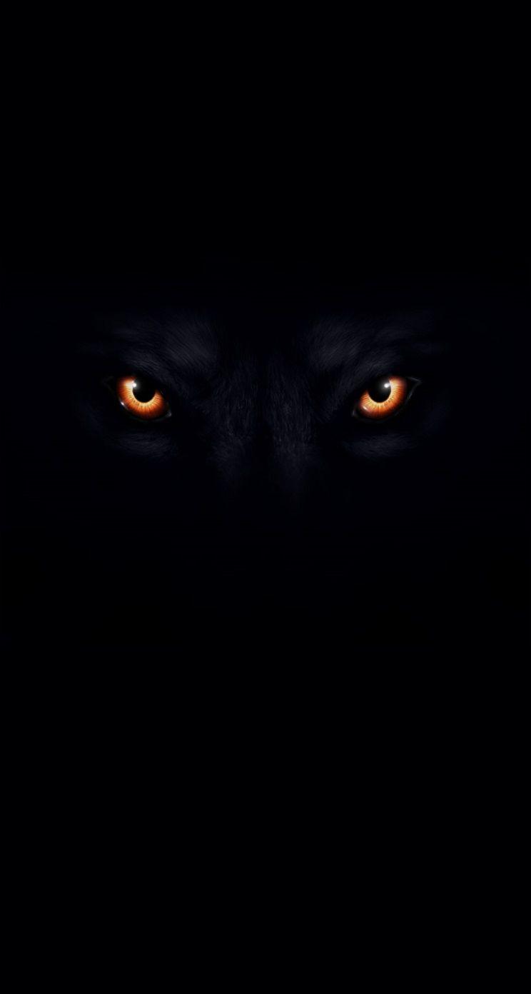 Red and Black Wolf Wallpapers Top Free Red and Black Wolf Backgrounds