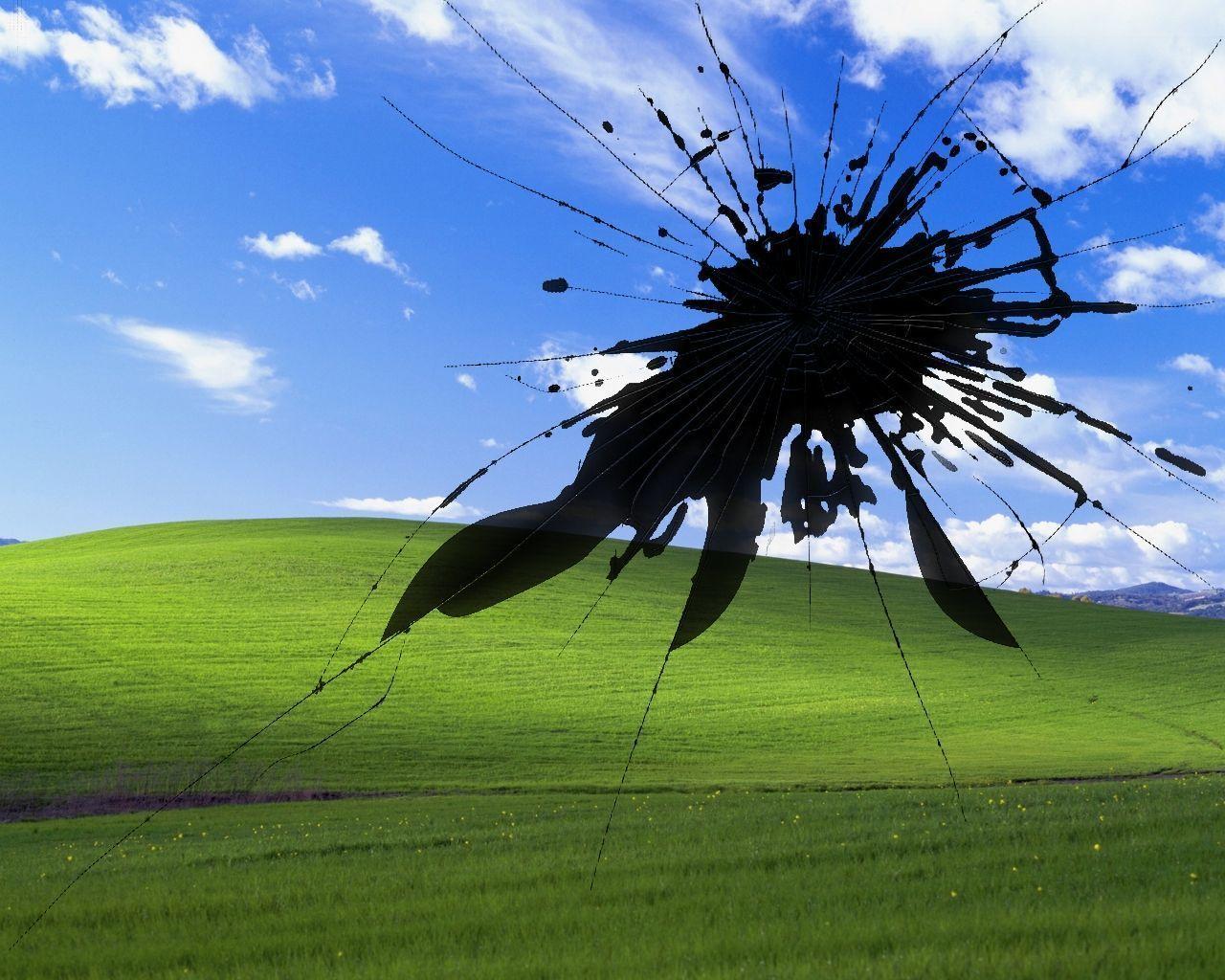 Windows XP Bliss Wallpapers Top Free Windows XP Bliss Backgrounds