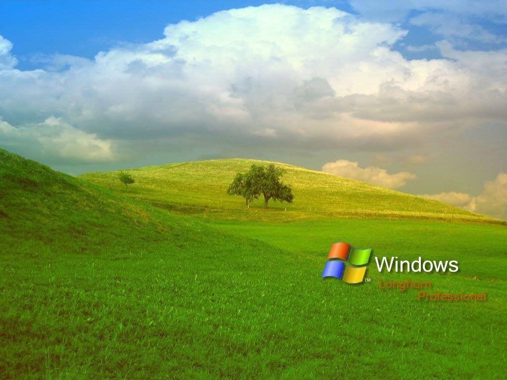 Windows XP Bliss Wallpapers Top Free Windows XP Bliss Backgrounds