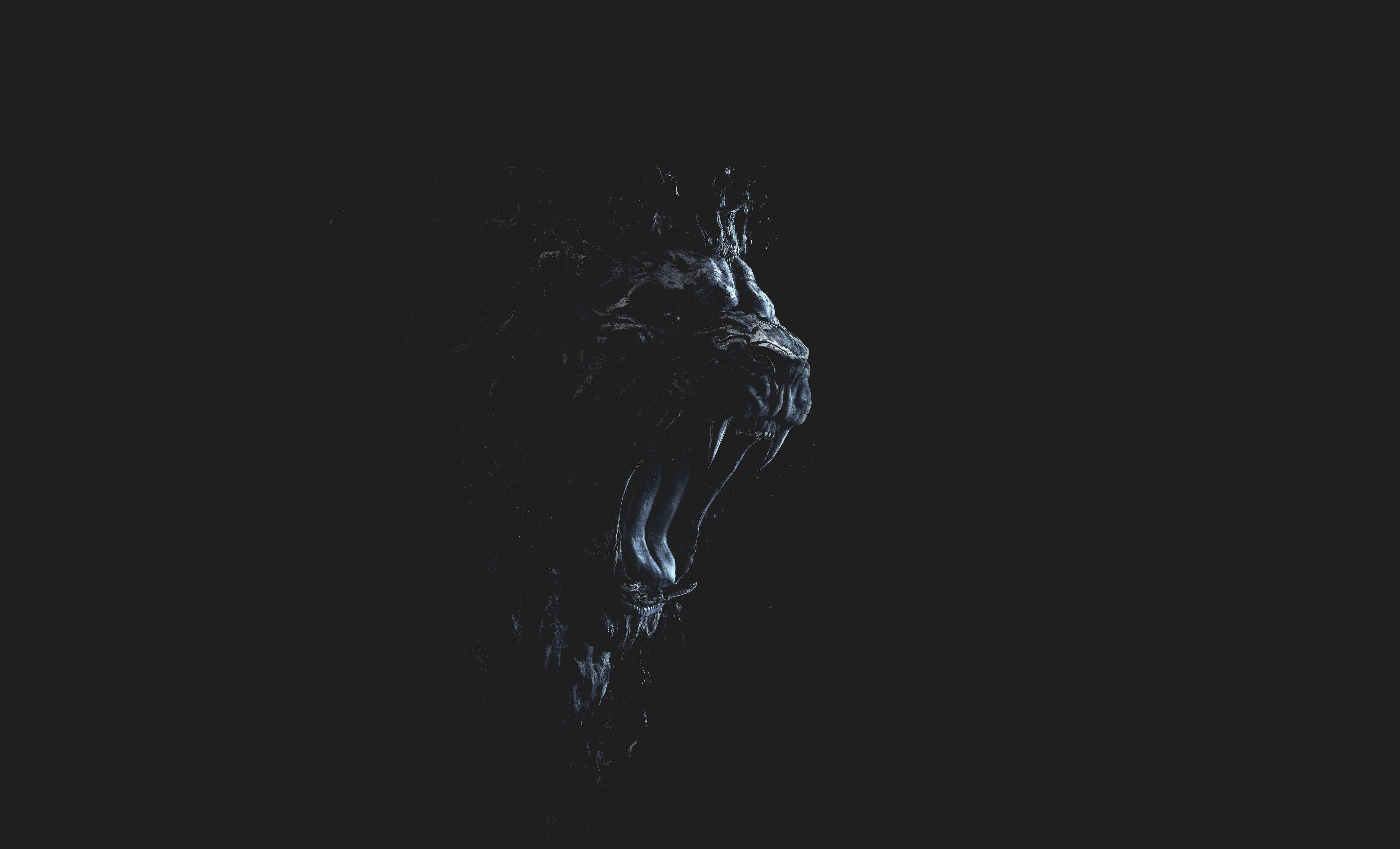 Black Lion 4K Wallpapers Top Free Black Lion 4K Backgrounds