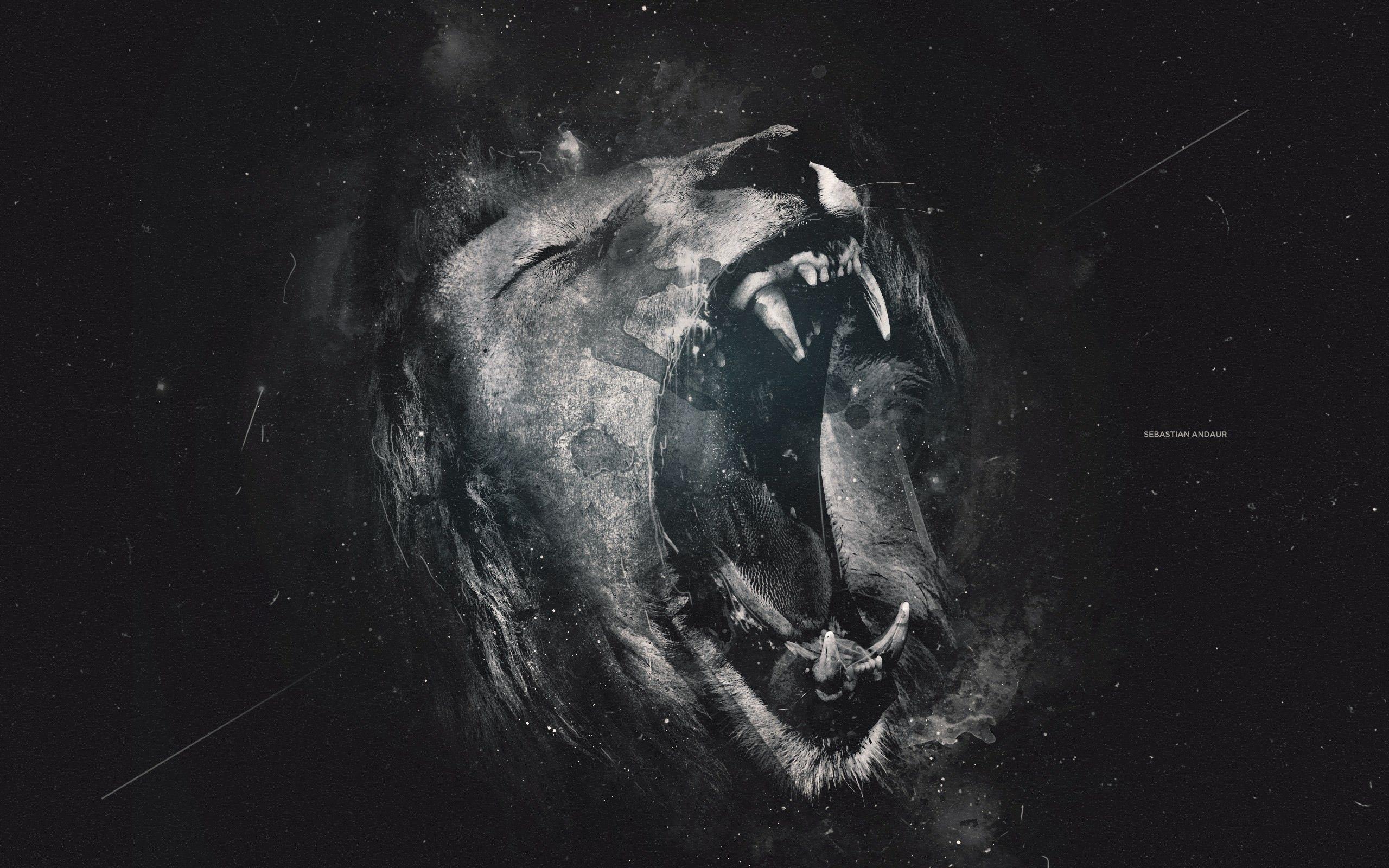 Black Lion 4K Wallpapers Top Free Black Lion 4K Backgrounds