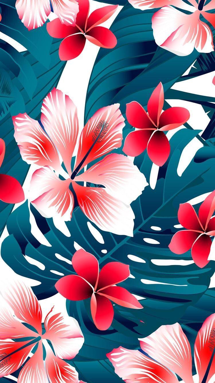 Hawaiian Wallpapers Top Free Hawaiian Backgrounds WallpaperAccess
