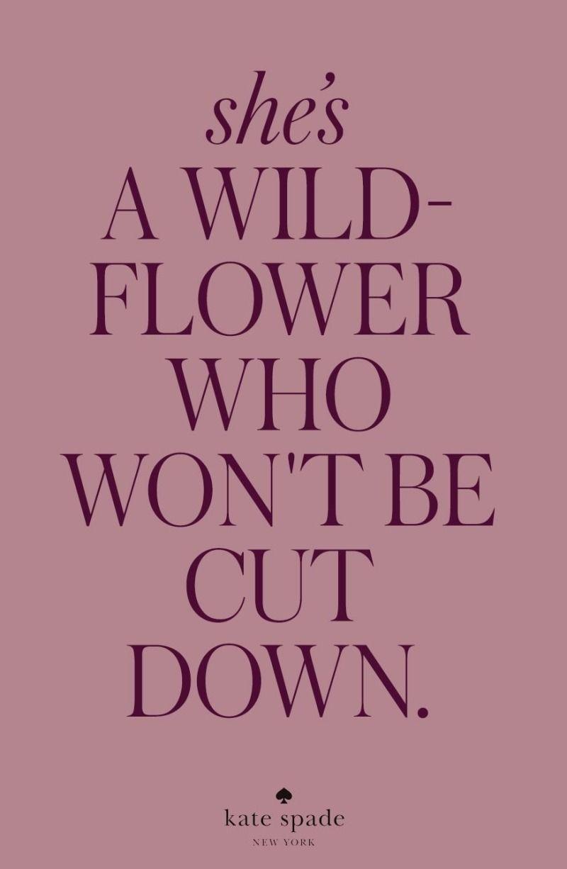 Kate Spade Quote Wallpapers Top Free Kate Spade Quote Backgrounds