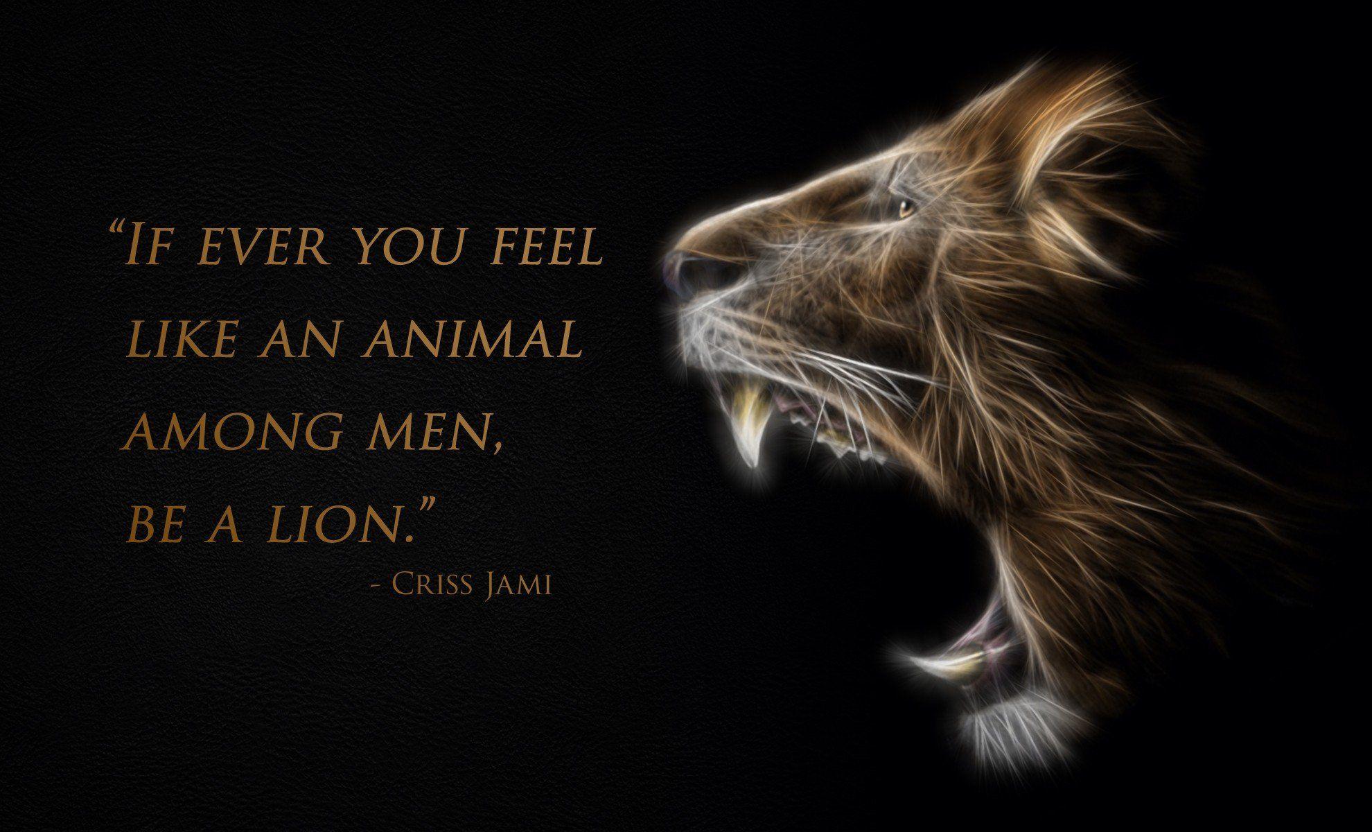 Lion Quotes HD Wallpapers Top Free Lion Quotes HD Backgrounds