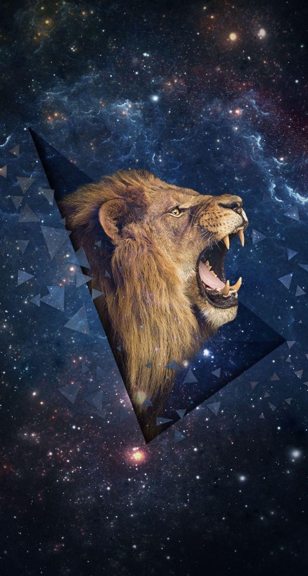 Lion Abstract Phone Wallpapers Top Free Lion Abstract Phone