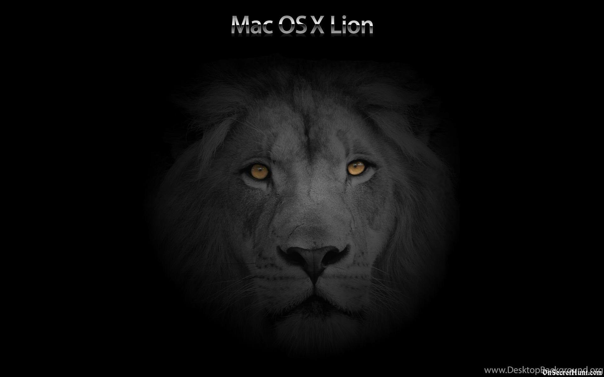 Mac OS X Lion Wallpapers Top Free Mac OS X Lion Backgrounds WallpaperAccess