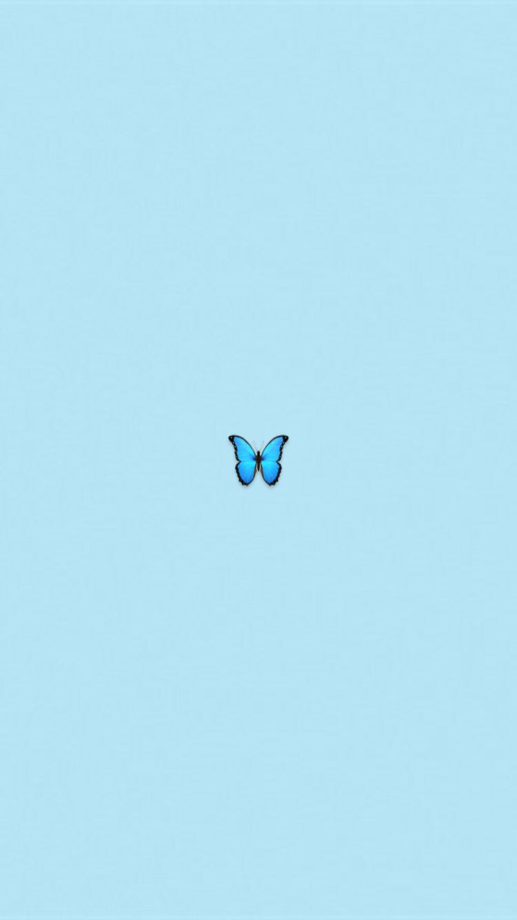 Cute Blue iPhone Wallpapers Top Free Cute Blue iPhone Backgrounds