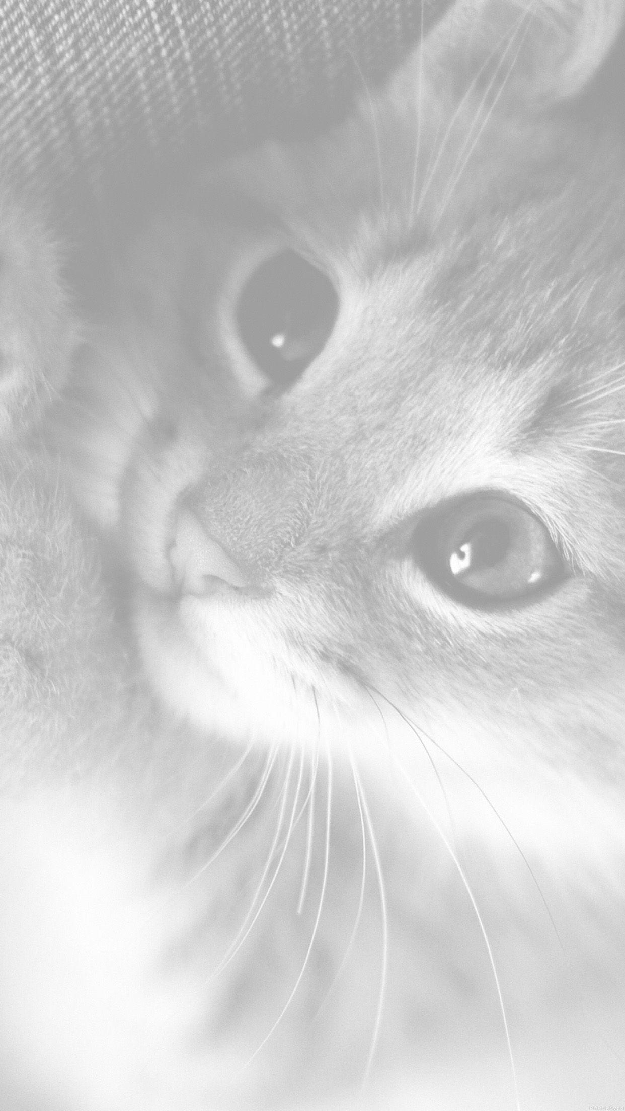 Cute White iPhone Wallpapers Top Free Cute White iPhone Backgrounds