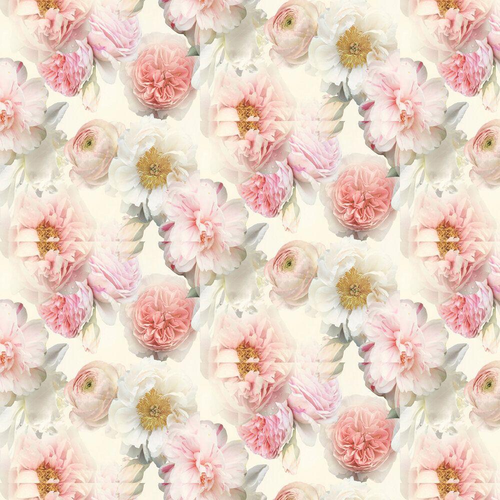Blush Floral Wallpapers Top Free Blush Floral Backgrounds