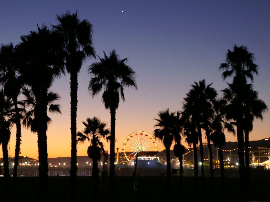 Los Angeles Palm Trees Wallpapers Top Free Los Angeles Palm Trees