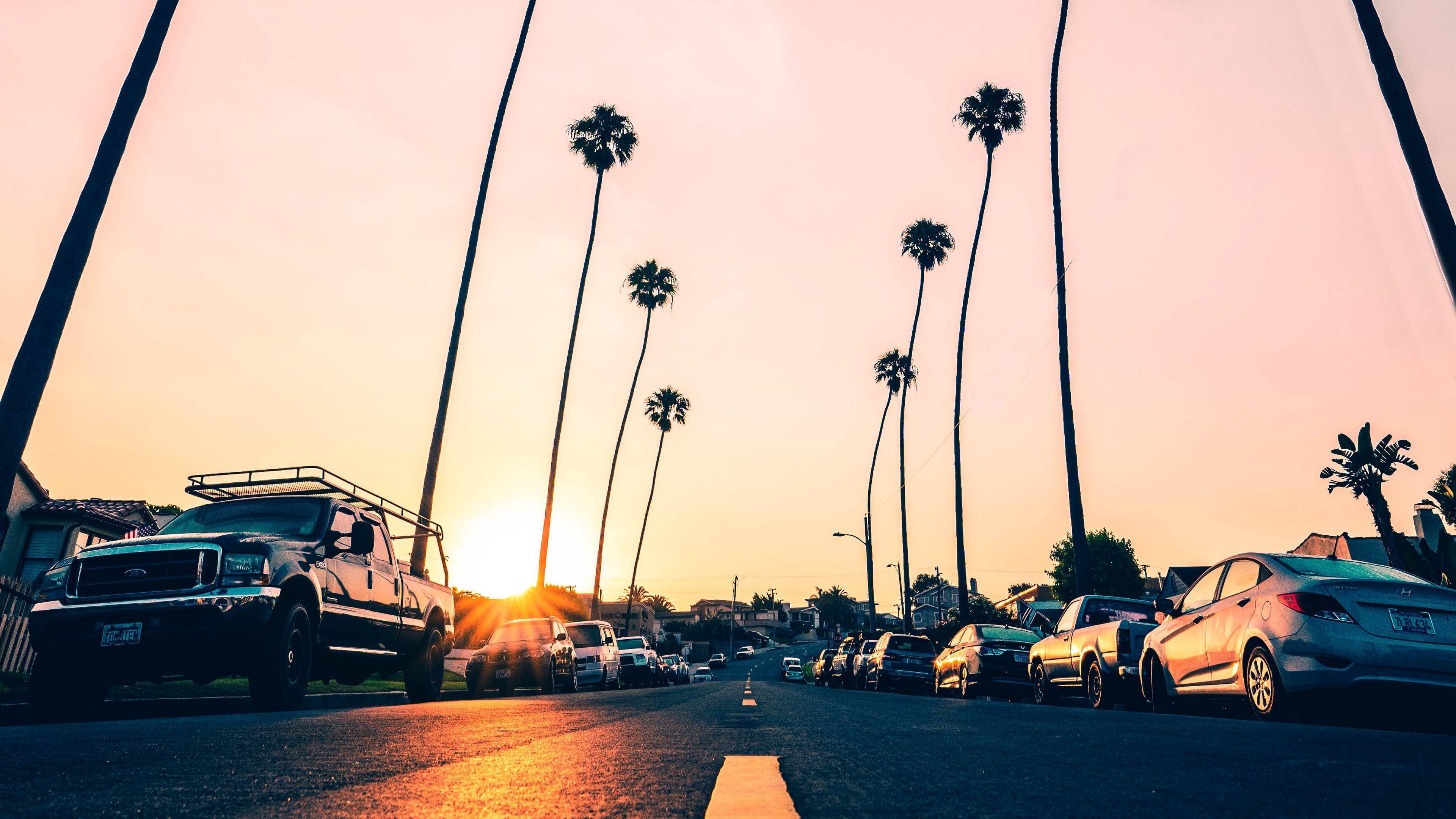 Los Angeles Palm Trees Wallpapers Top Free Los Angeles Palm Trees