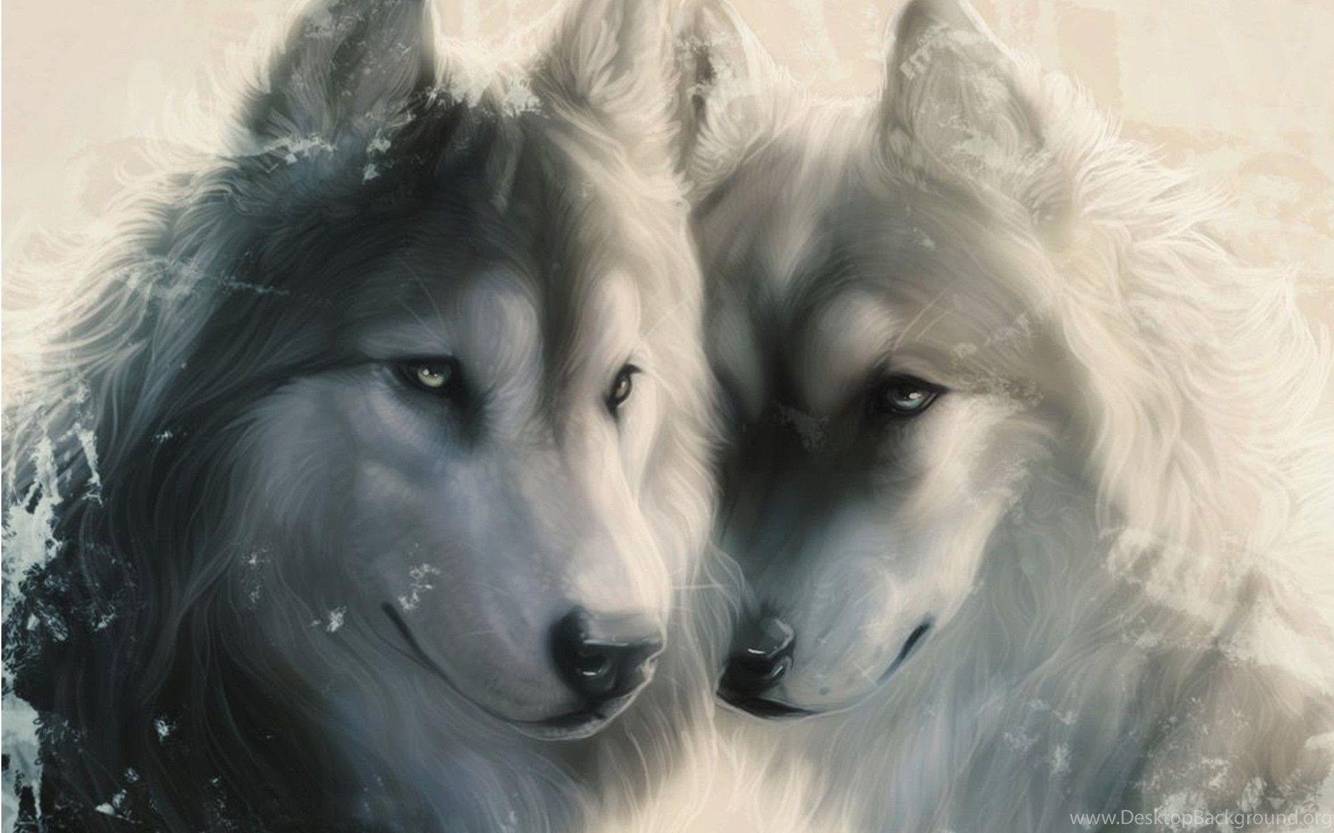 Love Wolf Wallpapers Top Free Love Wolf Backgrounds WallpaperAccess