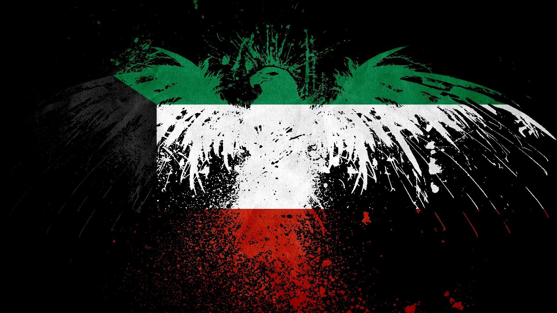 Kuwait Flag Wallpapers Top Free Kuwait Flag Backgrounds WallpaperAccess