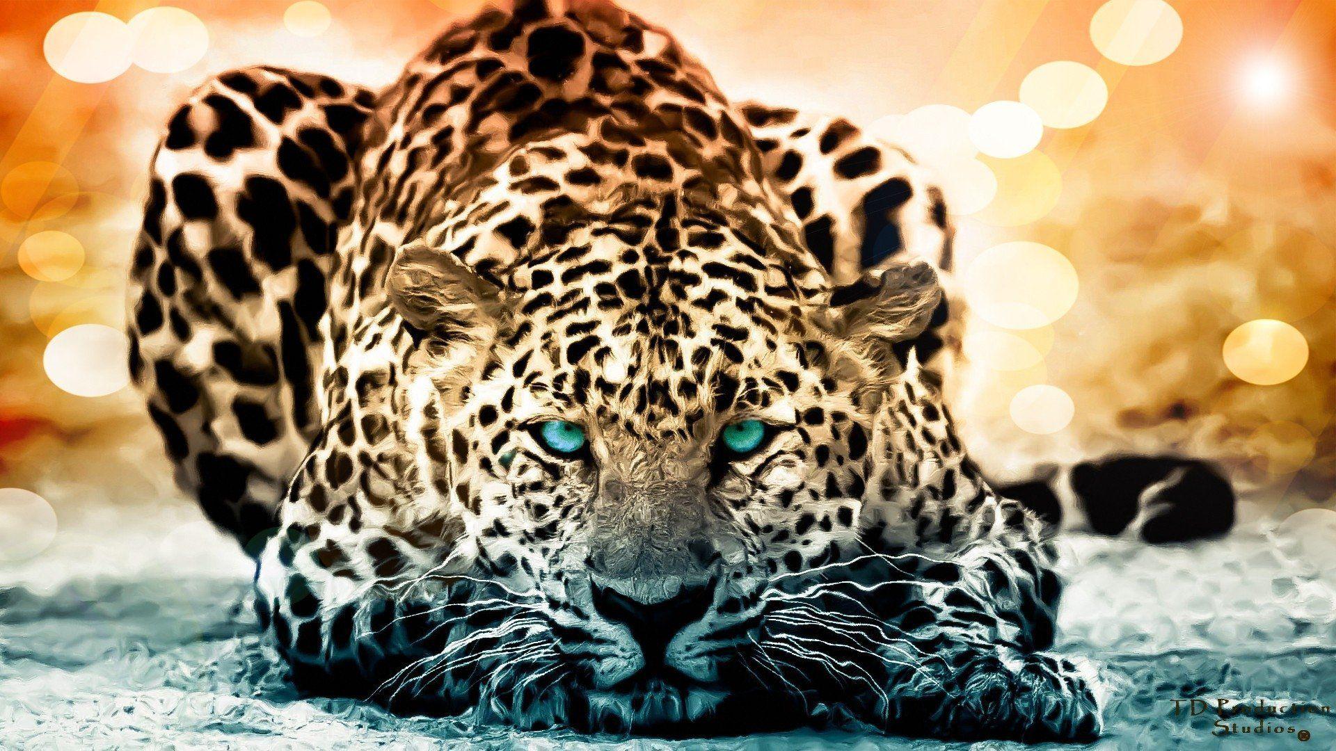 Jaguar Wallpapers Top Free Jaguar Backgrounds WallpaperAccess