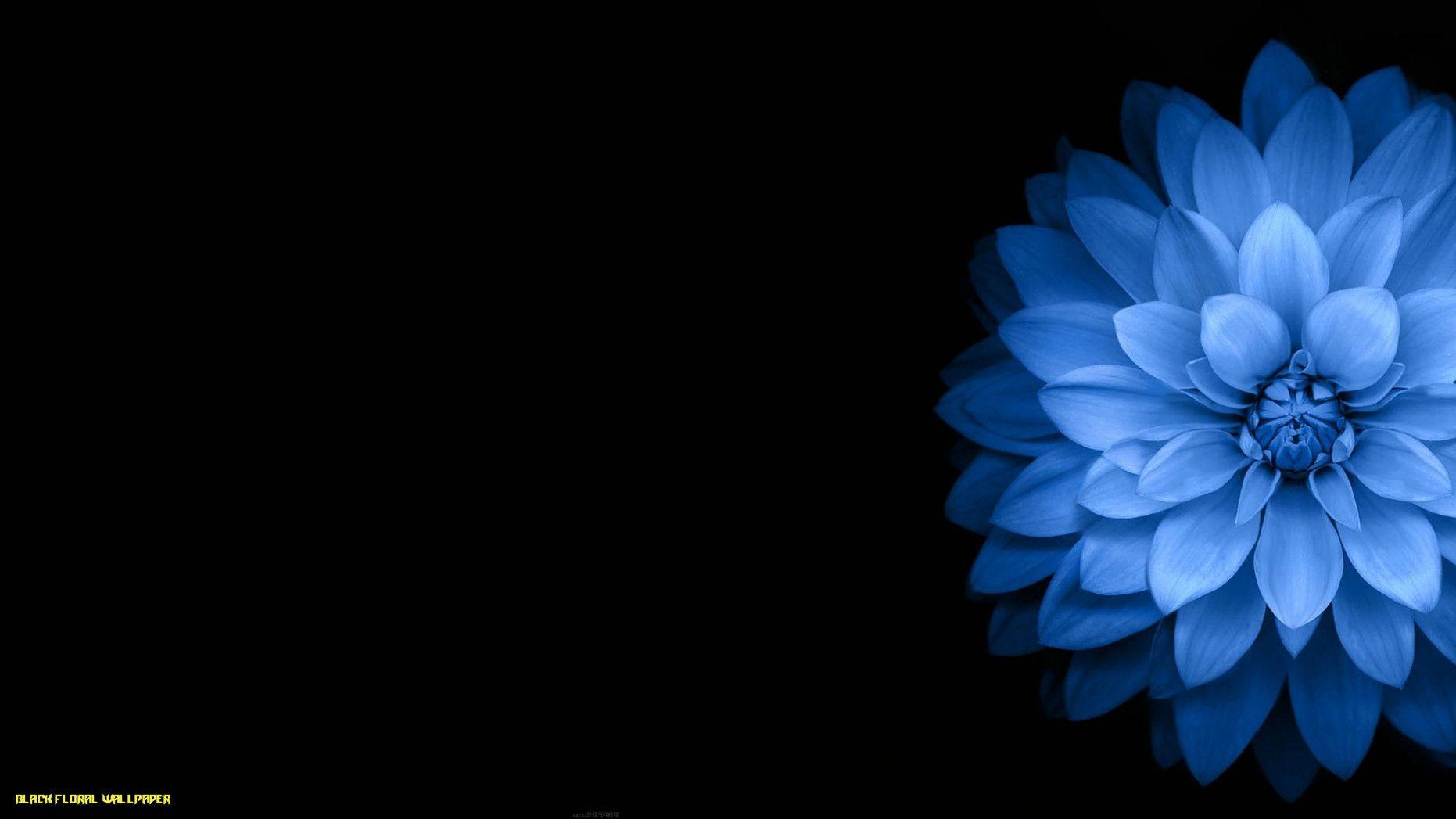 Black and Flower Wallpapers Top Free Black and Flower Backgrounds