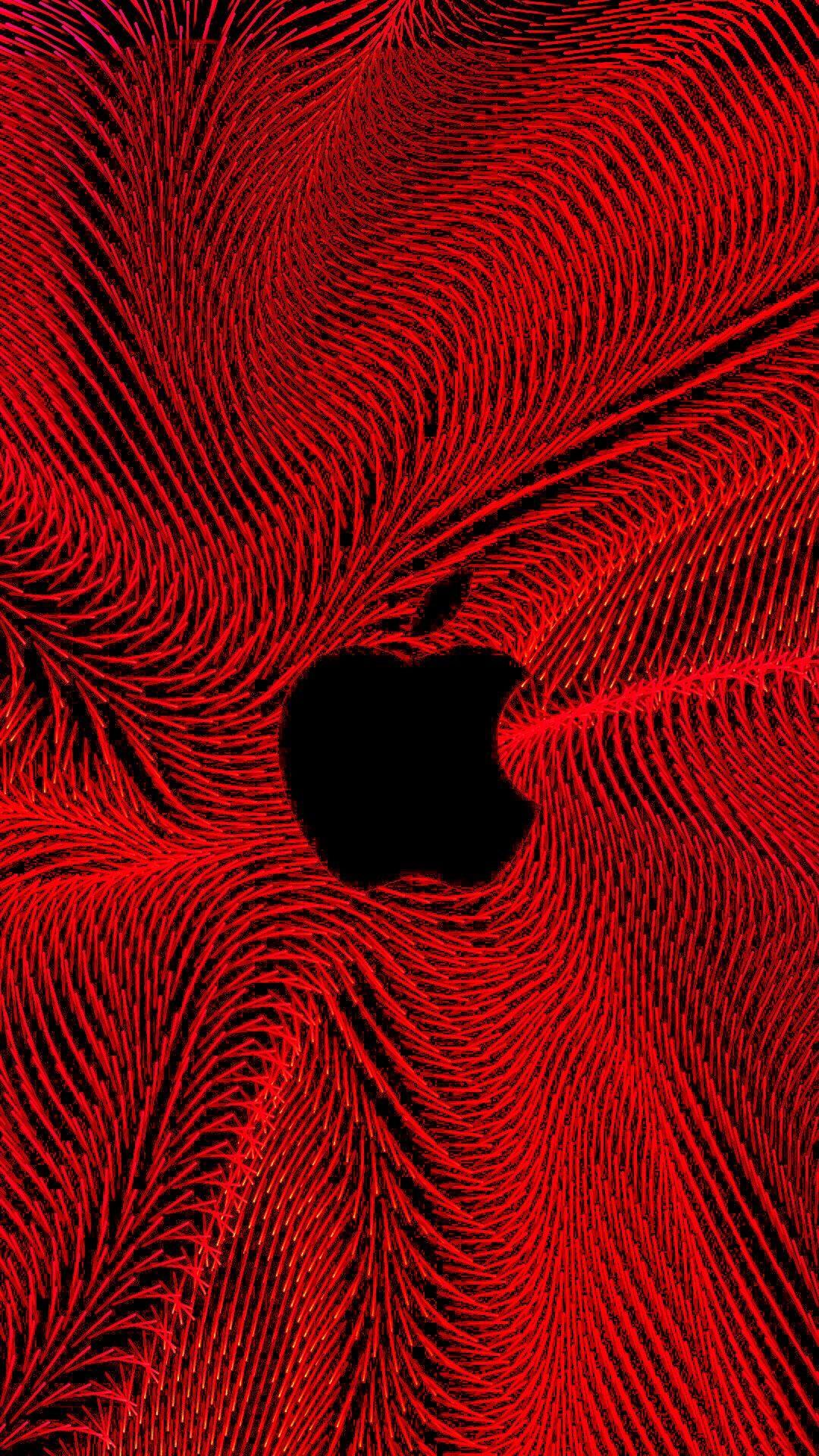 Black and Red Apple Wallpapers Top Free Black and Red Apple