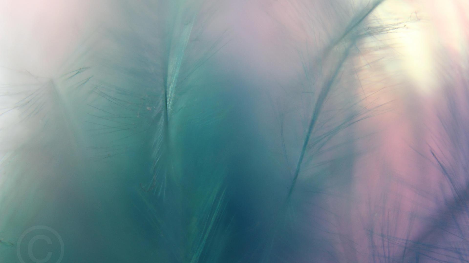 Abstract Pastel Wallpapers Top Free Abstract Pastel Backgrounds