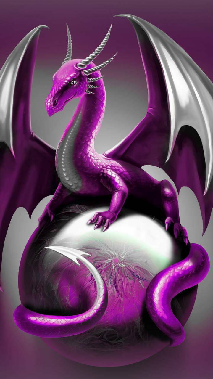 Cool Purple Dragon Wallpapers Top Free Cool Purple Dragon Backgrounds