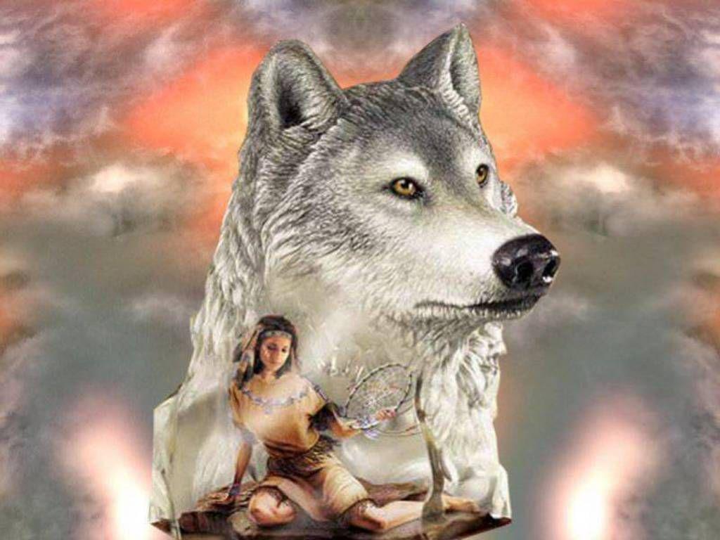 Wolf Dreamcatcher Wallpapers - Top Free Wolf Dreamcatcher Backgrounds - Wallpaperaccess 768_x_1024_jpg