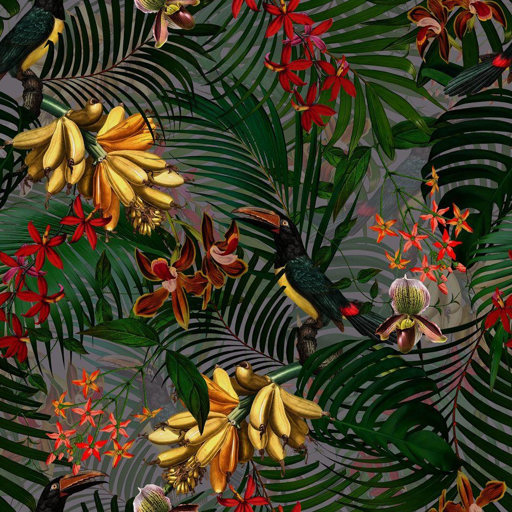 Jungle Flowers Wallpapers Top Free Jungle Flowers Backgrounds