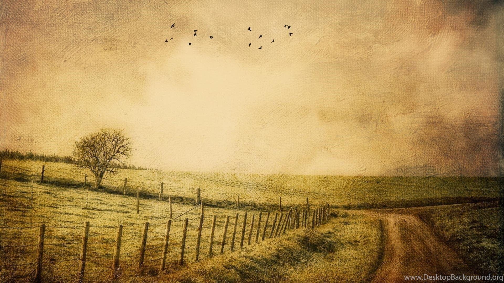 Old Nature Wallpapers Top Free Old Nature Backgrounds WallpaperAccess