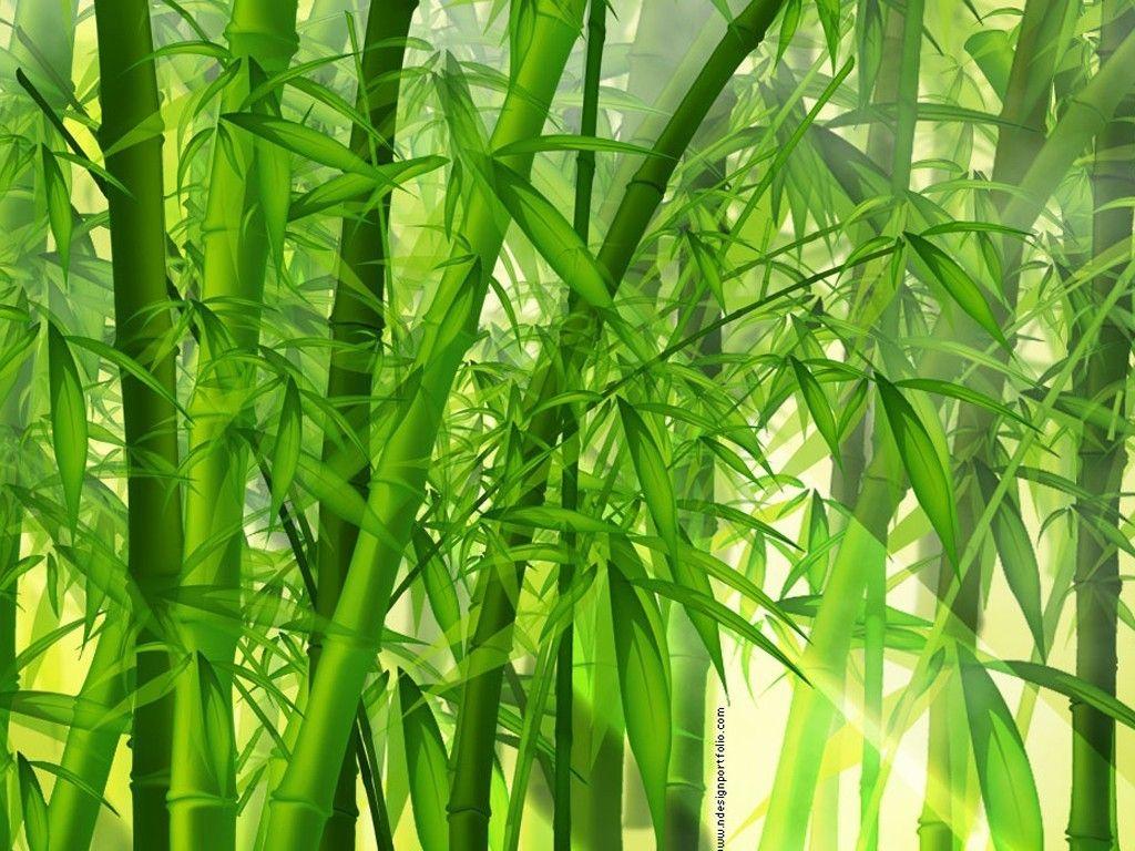 Japanese Green Wallpapers Top Free Japanese Green Backgrounds