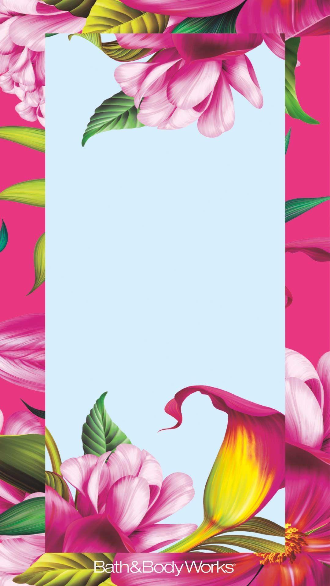 Tropical Flower Phone Wallpapers Top Free Tropical Flower Phone