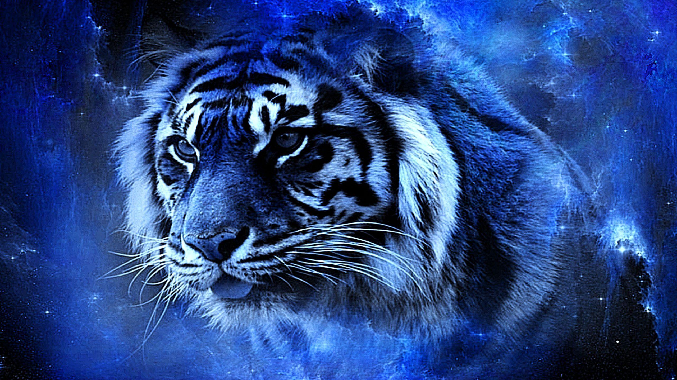 Cool White Tiger Wallpapers Top Free Cool White Tiger Backgrounds WallpaperAccess